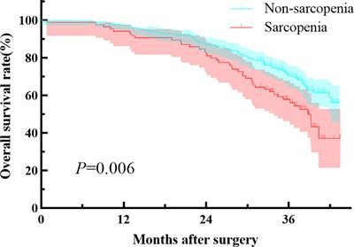 Psoas muscle mass index and peak expiratory flow as measures of sarcopenia: relation to outcomes of elderly patients with resectable esophageal cancer